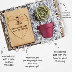 an open box containing a card, potted plant and gift tag with instructions to make it