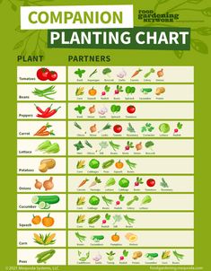 the plant chart shows different types of vegetables