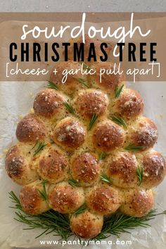 Sourdough Christmas Tree Pull Apart Bread with cheese and garlic will delight friends and family during the festive season. Sour Dough Bread Dinner Ideas, Sourdough Bread With Discard, Sourdough Appitzer, Sourdough Christmas Tree Bread, Sourdough Christmas Ornaments, Christmas Appetizers Sourdough, Bread For Christmas Dinner, Sourdough Christmas Wreath, Pull Apart Sourdough Cheese Bread