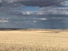 an open field with clouds in the sky