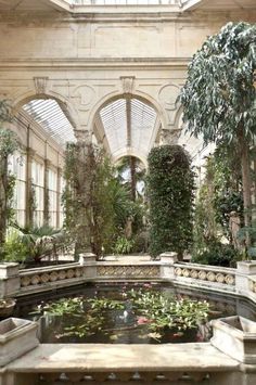 an indoor pond surrounded by plants and trees