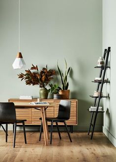 a dining room with green walls and wooden flooring, two chairs at a table