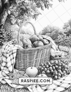 a basket full of fruit sitting on top of a plaid blanket next to a tree