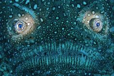 an underwater view of the face and eyes of a fish with blue water droplets on its body