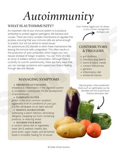 Autoimmune Health (handout bundle) — Functional Health Research + Resources — Made Whole Nutrition Healthier Options, Nutritional Therapy, Whole Food Diet, Integrative Health, Thyroid Health, Hormone Health