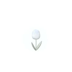 a single white flower is in the middle of a white background with no one around it