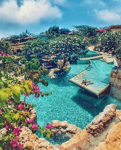 the pool is surrounded by flowers and rocks, with people swimming in it on top