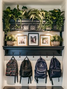 a bunch of backpacks hanging on a wall with some pictures above them and plants