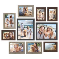 a collage of photos with dogs and people on the beach in front of them