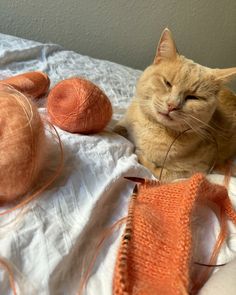 an orange cat laying on top of a bed next to yarn