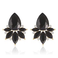 PRICES MAY VARY. ☑️Fancy Cluster Earrings Design☑️The large black crystal stud at the top of each earring enhances their eye-catching appeal, creating a striking focal point that complements your style.These exquisite drop earrings feature a captivating cluster of sparkling crystal rhinestones, adding a touch of glamour and elegance to any outfit. ☑️Hypoallergenic Material☑️Crafted with utmost care, these dainty black rhinestone earrings are free from nickel and lead, making them safe for sensit Formal Birthday Party, Black Crystal Earrings, Black Drop Earrings, Earrings Fancy, Bridal Wedding Earrings, Bridal Earrings Drop, Earrings Design, Earrings Elegant, Prom Formal