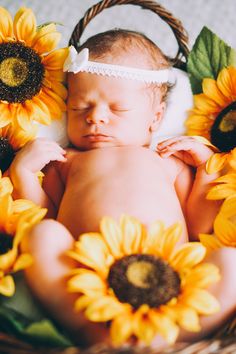 a baby sleeping in a basket with sunflowers