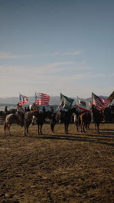 a group of horses with american flags on their backs standing in the middle of a field