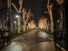 an open gate with christmas lights on the trees and street in front of it at night