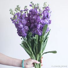 a person holding a bunch of purple flowers