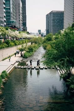 people are walking along the edge of a small river in a city with tall buildings