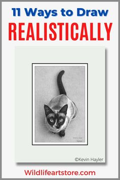 a black and white cat with the words 11 ways to draw realisticly on it