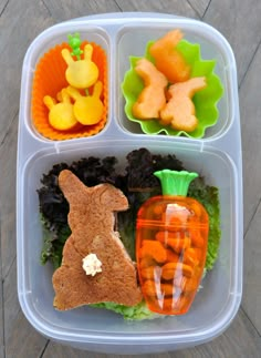 a plastic container with carrots, lettuce and other food items in it