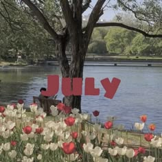 a park bench sitting next to a tree with flowers in front of it and the words july overlaid