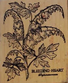 a wooden box with a drawing of flowers on it's front and bottom side