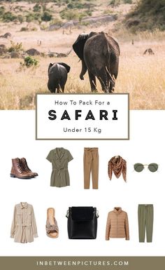 an elephant and her baby in the wild with text overlay that reads how to pack for a safari under 15k