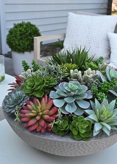 a bowl filled with lots of succulents sitting on top of a table