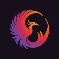 a colorful bird logo on a black background