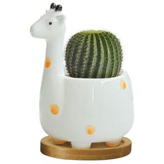 PRICES MAY VARY. The giraffe plant pot is made of porcelain with smooth finish surface. Elegant and decorative, will adding a dash of unique ornament to your office desk, dining room table, bookshelves, window sills, countertops and more. This adorable giraffe succulent planter is a great gift for your friend, perfect for planting succulents in your home or office, make the most adorable succulent arrangements. This ceramic giraffe planter comes with a draining hole, four-legged column design, g Cactus Ceramic, Indoor Flower Pots, Planter Indoor, Decor Vase, Mini Cactus, Animal Planters, Column Design, Mini Succulents, Ceramic Plant Pots