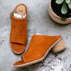 Nib Sofft Carrey Slide Sandals Suede Pumpkin 7.5m 38.5 New In Box Women’s Us 7.5m, Eu 38.5 Detailed Description Is Provided In One Of The Photos. I Have Multiple Pairs Of This Style. They Are All New. The Pair Shown In The Photos Might Not Be The Exact Pair You Will Receive As There Might Be Slight Variation Of Pattern. :: Orders Are Shipped On The Same Or The Next Business Day Excluding Sat & Sun. Mq-2307-013/2601 Spring Slip-on Heels With Leather Footbed, Spring Slip-on Mules With Ortholite Insole, Spring Ortholite Insole Slip-on Mules, Spring Sandals With Suede Lining And Round Toe, Spring Low Heel Suede Lined Heels, Spring Heels With Suede Lining, Comfortable Spring Heels With Cushioned Footbed, Comfortable Heels With Cushioned Footbed For Spring, Casual Spring Heels With Suede Lining