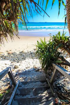 stairs leading down to the beach with palm trees