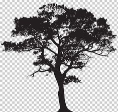 a black and white tree silhouette on a transparent background png clipart free for personal use