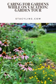 purple flowers and green grass with the words caring for gardens while on vacation garden tour