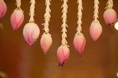 pink flowers hanging from strings with lights in the background