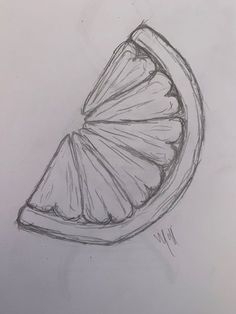 a pencil drawing of an orange slice