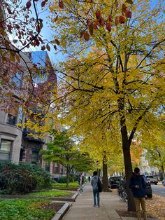 Boston
Fall trees 
Trees in fall
Trees 
Trees in autumn
Walking aesthetic 
Boston aesthetic 
Boston Massachussets
Prettiest colleges 
College 
Boston university 
Boston university aesthetic 
Boston university campus
Campus life 
Living on campus 
Prettiest college campus 
Pretty college campus 
College aesthetic 
University aesthetic 
Fall
Autumn 
Fall Boston 
Autumn Boston 
College in fall 
Boston in fall University Aesthetic Wallpaper, Julian Bond, Aesthetic University, Places In Boston