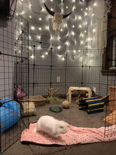 an animal in a cage with lights on the ceiling and other items around it,