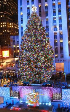 a large christmas tree in the middle of a city