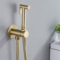 a gold shower faucet on the wall next to a potted plant