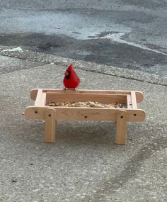 a red bird sitting on top of a wooden bench with gravel in front of it