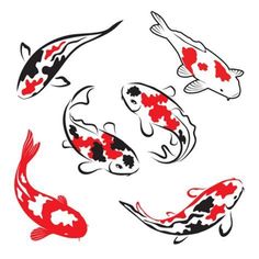 four koi fish swimming in the water with red and black spots on their body