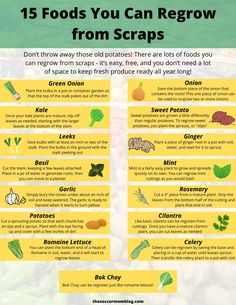 an info sheet describing how to grow vegetables from scraps