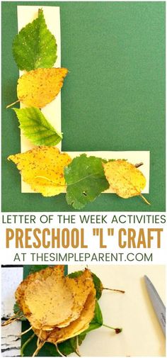 the letter l is made out of leaves and paper