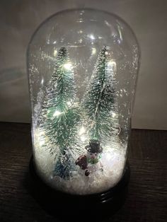 a snow globe with christmas trees in it