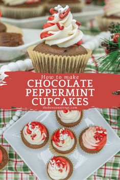 how to make chocolate peppermint cupcakes