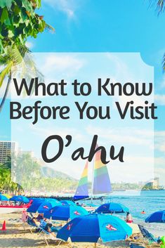 blue beach chairs and umbrellas with the words what to know before you visit oahuu