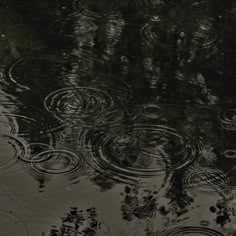 the reflection of trees in the water is very dark and it looks like they are floating