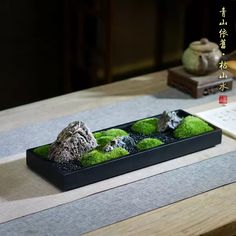 a black tray with moss and rocks in it sitting on a table next to a book