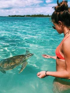 a woman standing in the water looking at a turtle