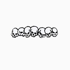 a row of skulls sitting next to each other