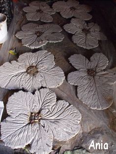 several large leaf shaped plants sitting on top of a stone floor next to a potted plant